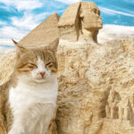 The most effective method to Love Your Feline As They Did in Old Egypt