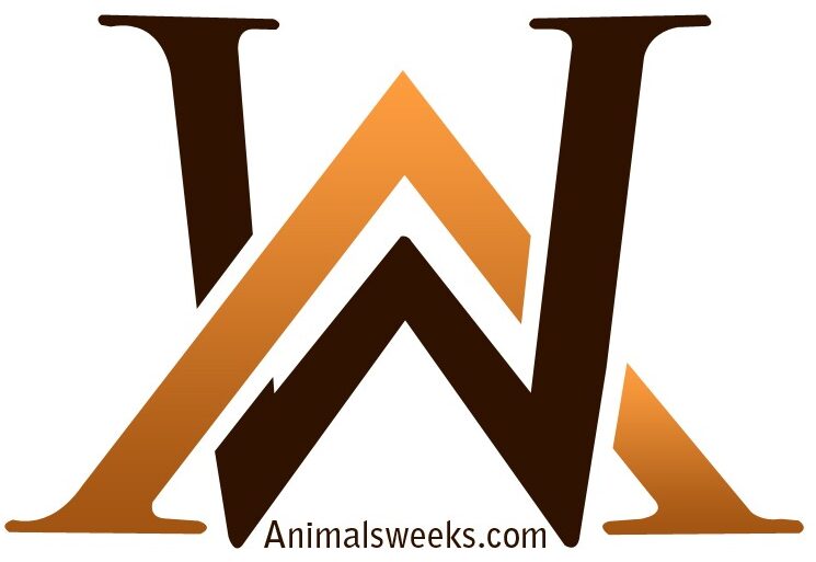 Animals Weeks