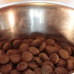 Pet Food Programmed Compartments – Upsides and downsides