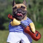 Do Canines Like Music?