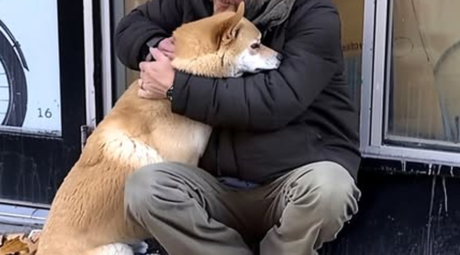 Dog Goes to Closed Store Daily then Leaves, One Evening Poor Boy Notices and Follows It — Story of the Day