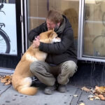 Every Day, A Dog Visits A Closed Store, And A Poor Boy Follows The Dog And Finds Out The Truth—Today’s Story