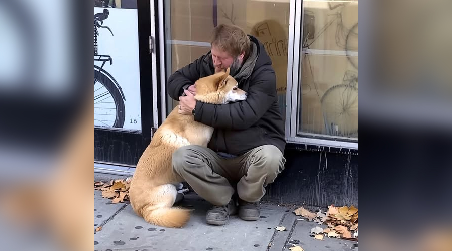 Every Day, A Dog Visits A Closed Store, And A Poor Boy Follows The Dog And Finds Out The Truth—Today’s Story