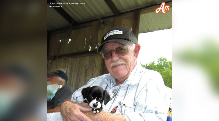 Abandoned Puppy Becomes the Angel a Grieving Old Man Prayed For