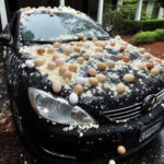 My Neighbor Threw Eggs at My Car Because It Was ‘Blocking the View’ of His Halloween Decorations