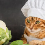 Could Felines Eat Vegetables?