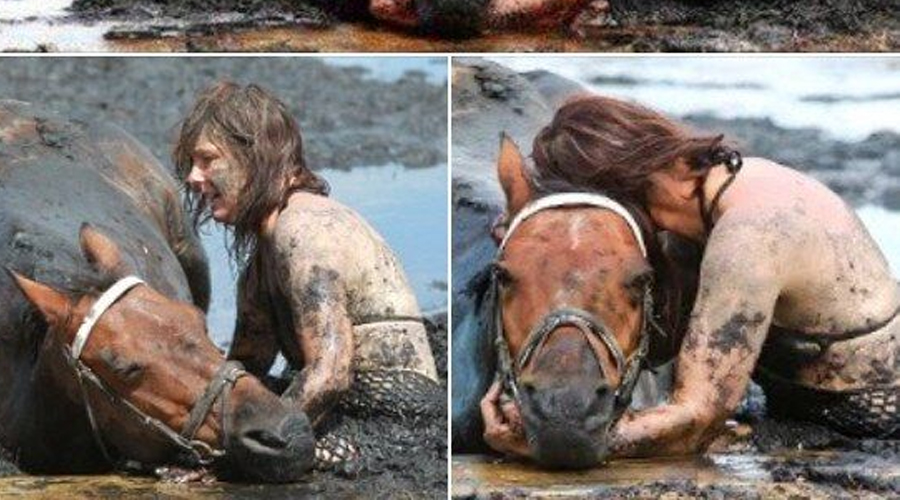 For 3 hours woman stays with trapped horse – then a farmer does everything he can to save its life