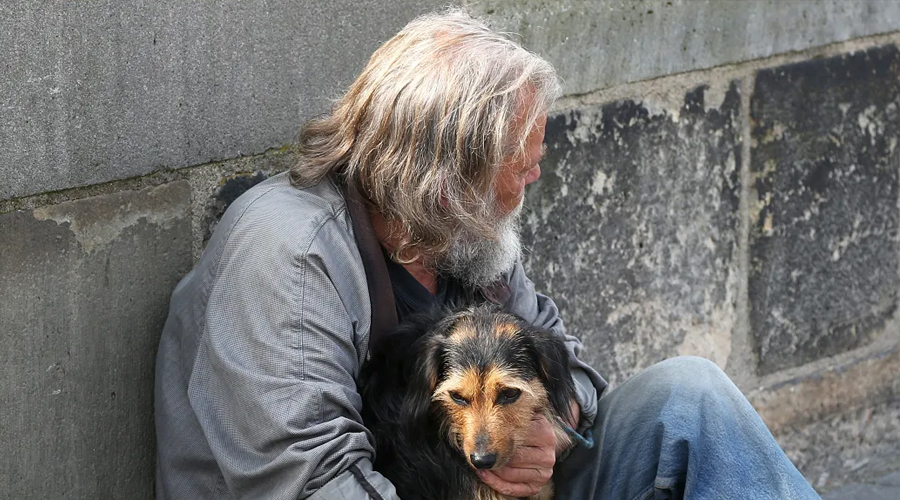 Homeless Man Asked Me To Take His Dog – A Month Later, I Received A Mysterious Letter