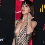 People Blush Instead Of Her: Dakota Johnson’s Bold Look Without Underwear Left Everyone Speechless!