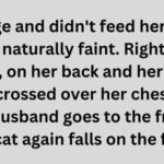 Cat Dramatically ‘Faints’ for Food, Husband Calls Her Out!