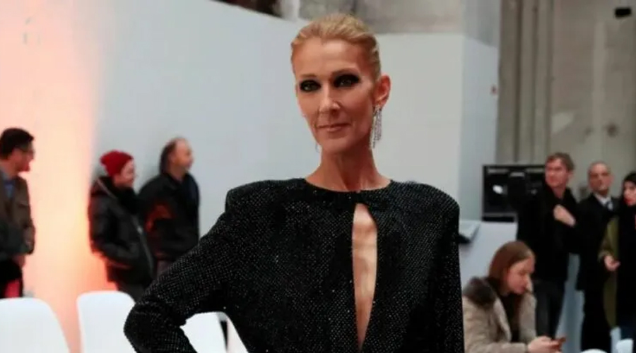 Celine Dion cancels concerts in 2023–2024 due to health issues