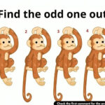 Find the odd one out