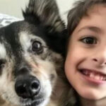 A Rescue Dog Came Home with Us — The Next Night, My 8-Year-Old Son Disappeared