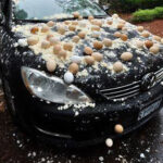 My Neighbor Threw Eggs at My Car Because It Was ‘Blocking the View’ of His Halloween Decorations