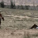 Shocking footage shows massive golden eagle trying to fly off with 8-year-old girl
