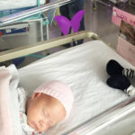 Purple butterfly sticker near newborns – here’s what it means