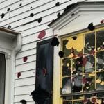 My Neighbor Totally Ruined My Windows with Paint after I Refused to Pay $2,000 for Her Dog’s Treatment