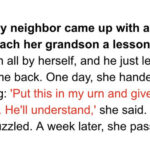 5 Shocking Stories About Grandparents Who Turned Out to Be Smarter, Teaching Everyone a Lesson