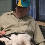 The Nursing Home Cat Only Loved One Man—and After He Passed, We Finally Understood Why