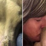 Woman spends the night cuddling with shelter dog so he won’t die alone