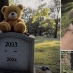 Every Day after 21-Year-Old Son’s Death, Grieving Mom Finds Baby Toys on His Grave