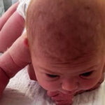 Newborn baby crawls across the hospital cot