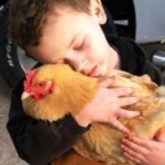 HE WOULDN’T LET GO OF THE CHICKEN—AND I DIDN’T HAVE THE HEART TO TELL HIM WHY SHE WAS MISSING YESTERDAY