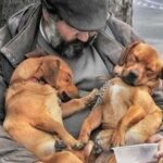 HE FED HIS DOGS BEFORE HIMSELF—BUT WHAT WAS IN HIS BAG TOLD A DIFFERENT STORY