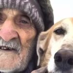 Homeless Man Asked Me to Take His Dog – A Month Later, I Received a Mysterious Letter