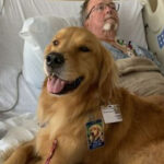 THE THERAPY DOG JUMPED ON HIS BED—AND THAT’S WHEN HE FINALLY SPOKE