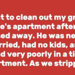 People Discovering Family Secrets…Today Best storie animalsweeks