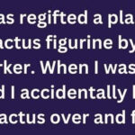 Regifted Cactus Reveals Unwanted Surprise
