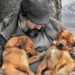HE FED HIS DOGS BEFORE HIMSELF—BUT WHAT WAS IN HIS BAG TOLD A DIFFERENT STORY