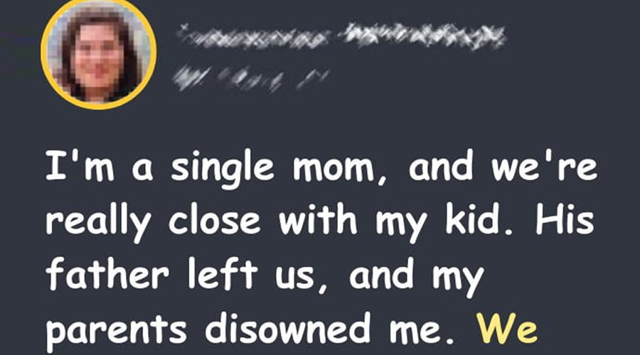 Single Mom Works Hard for Her Son – His Friend’s Parents Offer to Adopt Him