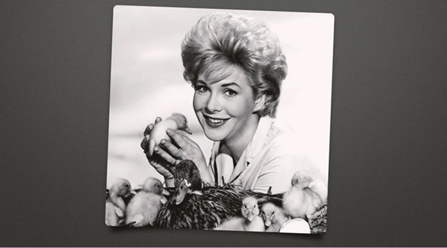 Beloved TV Actress Passed Away At Age Of 96