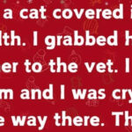 13 Christmas Stories That Made Us Believe in Miracles Again