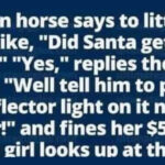Did Santa get you that?