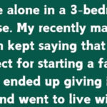 I Gave My House to My Son He Betrayed Me in a Horrific Way