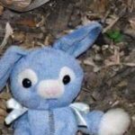 Neighbor’s Little Daughter Left a Weird Gift for Me under the Fence – When I Saw What Was Inside, I Went Pale