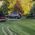 My Neighbor Drove over My Lawn Every Day as a Shortcut to Her Yard