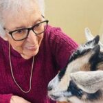 I BROUGHT A BABY GOAT TO A NURSING HOME—AND ONE RESIDENT SAID HIS NAME