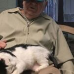 The Nursing Home Cat Only Loved One Man—and After He Passed, We Finally Understood Why