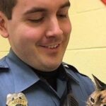 The Police Brought Me My Lost Cat—but the Story Didn’t Add Up