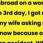 True Stories That Grow More Twisted the Closer You Look