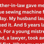 Mother-in-Law’s Redemption