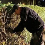 I Discovered My Neighbor Cutting My Hedge at Midnight – He Was Unprepared for the Severity of Karma’s Retaliation