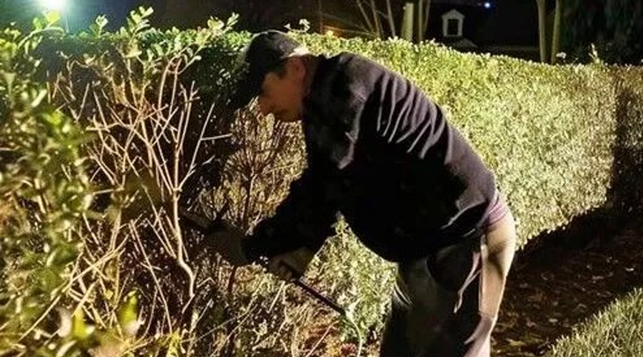 I Discovered My Neighbor Cutting My Hedge at Midnight – He Was Unprepared for the Severity of Karma’s Retaliation
