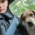 After Saving her life, a Police officer Adopts an a.ban.doned in.ju.red Puppy!