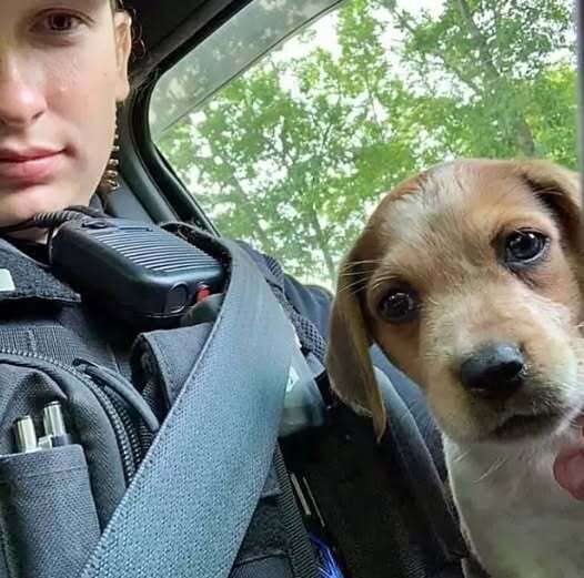 After Saving her life, a Police officer Adopts an a.ban.doned in.ju.red Puppy!