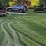 My Neighbor Drove over My Lawn Every Day as a Shortcut to Her Yard